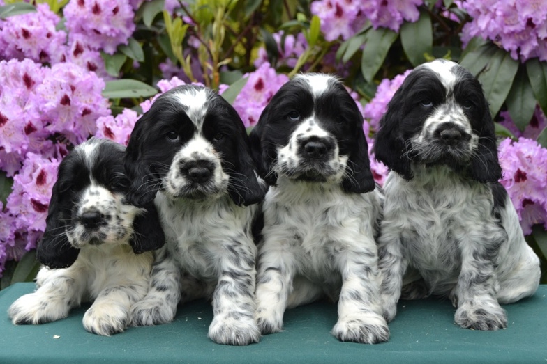 23-Habi, Hanny, Hart, Haidi.JPG